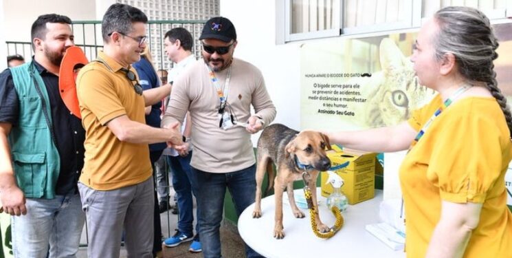 Manaus começa campanha gratuita de vacinação antirrábica
