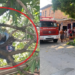 Para matar a fome, homem sobe em mangueira e acaba eletrocutado em Manaus