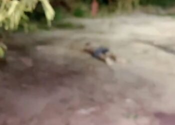 Homem é espancado até a morte com golpes na cabeça em campo de futebol em Manaus