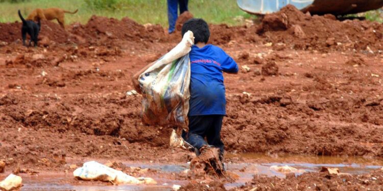 Lei proíbe prisão para quem furtar comida para não passar fome em todo o Brasil