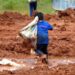 Lei proíbe prisão para quem furtar comida para não passar fome em todo o Brasil