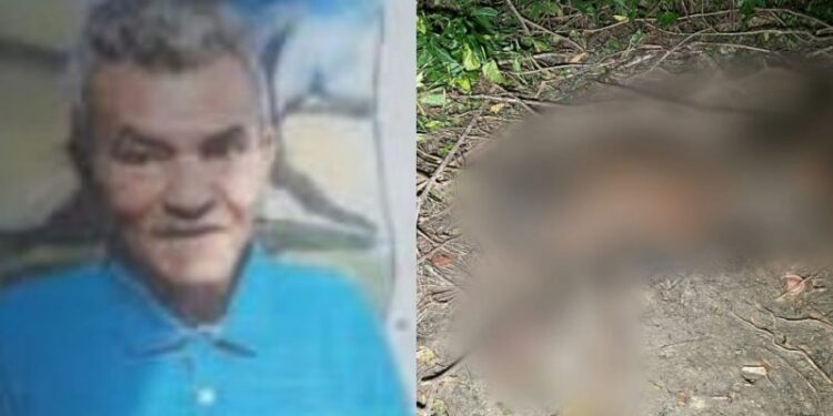 Corpo encontrado em área de mata é de idoso de 66 anos que estava desaparecido em Manaus