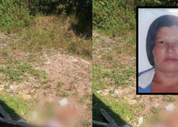 Crueldade: Caseiro é suspeito de matar a própria esposa a marretadas na AM-010