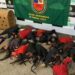 Batalhão Ambiental apreende 25 galos de rinha e prende 90 pessoas em Manaus