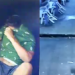 Vídeo: Em Manaus, advogado é preso suspeito de arrastão após deixar CNH cair e ser identificado