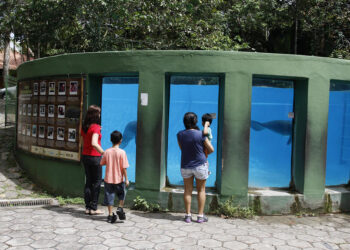 Bosque da Ciência do Inpa reabre para visitação do público na Semana das Crianças