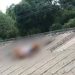 De tornozeleira, detento é morto enquanto tentava fugir pelo telhado em Manaus