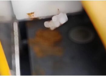 Mulher encontra banco de ônibus todo cagado e reclama do motorista; veja o vídeo