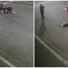 Vídeo: Motociclista reage a assalto, pega a arma do assaltante e atira nele