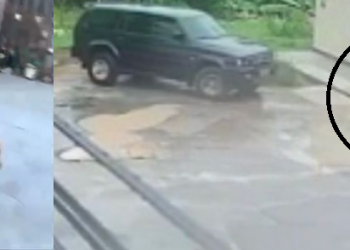 Vídeo: Em Manaus, vizinho é flagrado atropelando cadela várias vezes; ela morreu