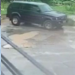 Vídeo: Em Manaus, vizinho é flagrado atropelando cadela várias vezes; ela morreu