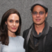 Angelina Jolie diz que Brad Pitt a segurou pela cabeça e sacudiu e sufocou um dos filhos