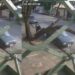 Pedestre escapa de ser esmagado por árvore que tombou em calçada; veja o vídeo