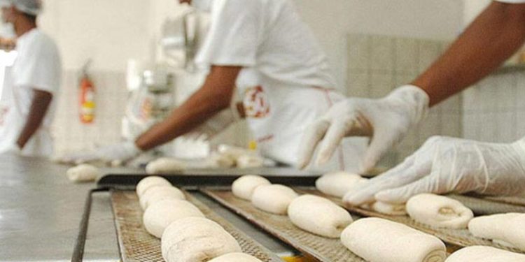 Emprego? Tem mais de 500 vagas te esperando nesta segunda-feira no Sine Manaus