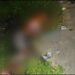 Homem morre e bebê é baleado ao ser usado de escudo na Zona Norte de Manaus