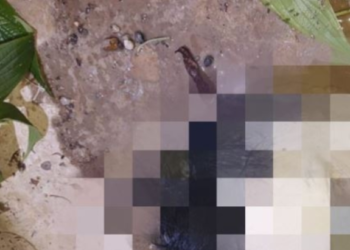 Cena forte: Cabeça humana é encontrada em rip-rap na Zona Norte de Manaus