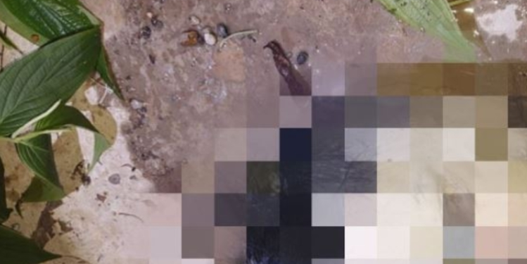 Cena forte: Cabeça humana é encontrada em rip-rap na Zona Norte de Manaus