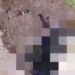 Cena forte: Cabeça humana é encontrada em rip-rap na Zona Norte de Manaus