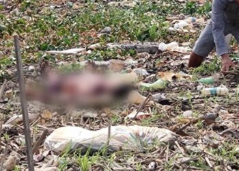 Ex-presidiário é encontrado degolado e sem a orelha, debaixo de ponte na Aparecida