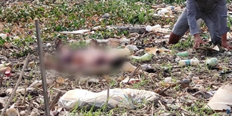 Ex-presidiário é encontrado degolado e sem a orelha, debaixo de ponte na Aparecida