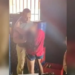 Grávida perde bebê após ser ameaçada e feita refém pelo namorado