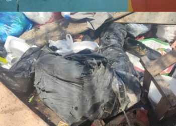 Dois corpos são desovados no lixo no Centro de Manaus