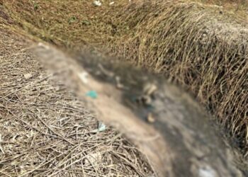 Garotos vão soltar pipa e encontram ossada humana na Orla do Bariri em Manaus