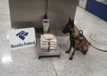 Blindada de Manaus é presa com supermaconha no aeroporto de Brasília