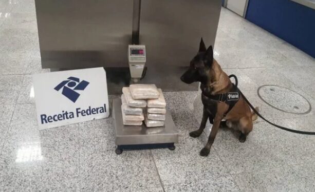 Blindada de Manaus é presa com supermaconha no aeroporto de Brasília