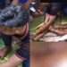 Moradores abrem barriga de píton de 7 metros e encontram vizinha que estava desaparecida