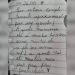 Menina de 11 anos mata a mãe com ajuda do namorado de 14: ‘estou completamente apaixonada’