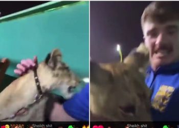 Role aleatório: torcedor sai para comprar cerveja e vai parar em palácio de sheik no Qatar