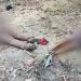 Vídeo: Dupla é levada para mato por grupo criminoso e executado a tiros em Manaus