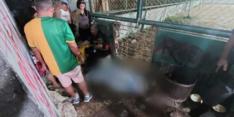 ‘Eu te falei’, lamenta esposa ao encontrar o marido venezuelano executado a tiros em Manaus