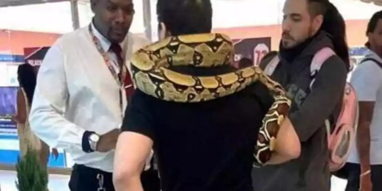Homem é barrado em shopping ao levar cobra para dar um role