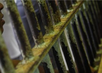 Detento é morto enforcado dentro de penitenciária no Amazonas