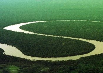 Projeto milionário vai perfurar solo do Amazonas para descobrir a origem da Amazônia