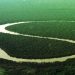 Projeto milionário vai perfurar solo do Amazonas para descobrir a origem da Amazônia
