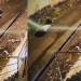 Vídeo: Suspeito de matar a própria mãe em Manaus aparece levando corpo em carrinho