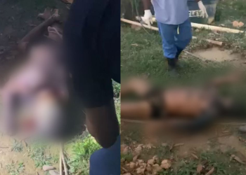 Vídeo: Caseiro é assassinado a terçadadas e enterrado por dupla em sítio no Amazonas