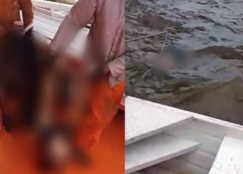 Vídeo: menina que se jogou da ponte Rio Negro sobrevive milagrosamente