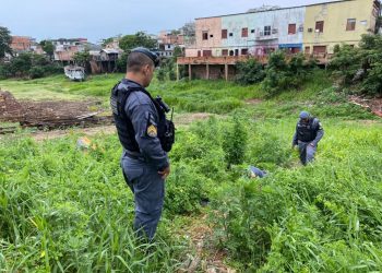‘Ele já ia voltar pro Maranhão’, diz esposa de homem encontrado morto em mata no Centro de Manaus