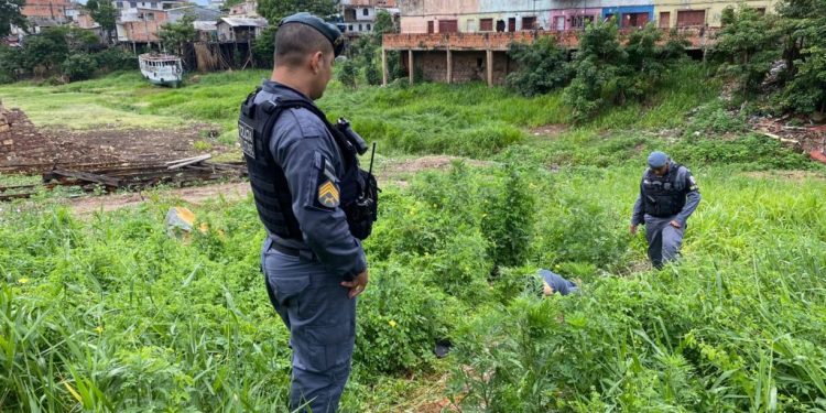 ‘Ele já ia voltar pro Maranhão’, diz esposa de homem encontrado morto em mata no Centro de Manaus