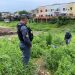 ‘Ele já ia voltar pro Maranhão’, diz esposa de homem encontrado morto em mata no Centro de Manaus