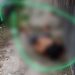 Corpo é encontrado jogado em calçada na Zona Norte de Manaus
