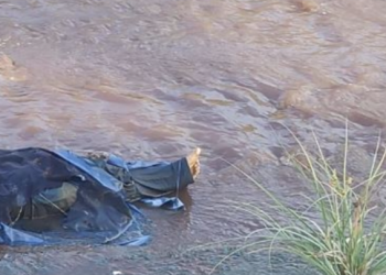 Vídeo: Homem é encontrado amarrado e morto com tiros na cabeça dentro de igarapé em Manaus