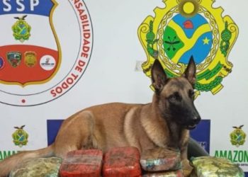 Mais de 20 quilos de drogas são apreendidos em barco de Coari