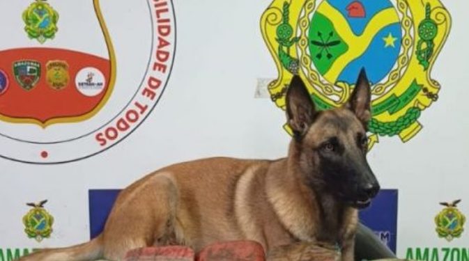 Mais de 20 quilos de drogas são apreendidos em barco de Coari