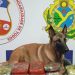 Mais de 20 quilos de drogas são apreendidos em barco de Coari