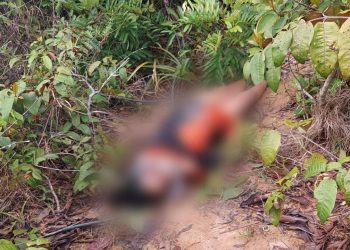 Mulher é assassinada e encontrada amordaçada e amarrada com sutiã em Manaus